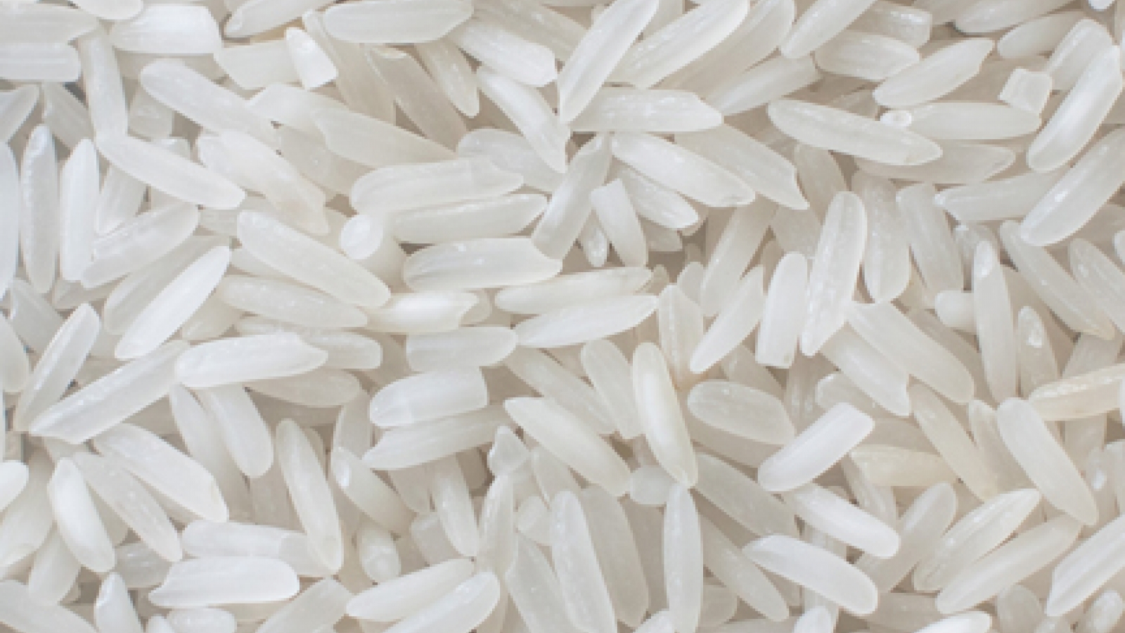 Vietnam, Pakistan, Burma to drive 2018 global rice exports