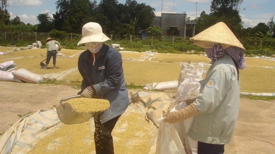 
        Auspicious start to Vietnamese rice export in 2018
                              