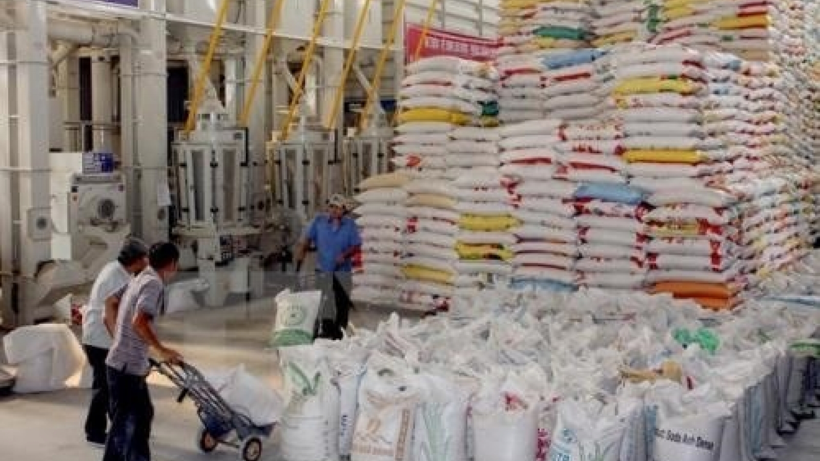 VietGap standards to merit national rice brand