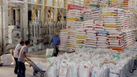VietGap standards to merit national rice brand