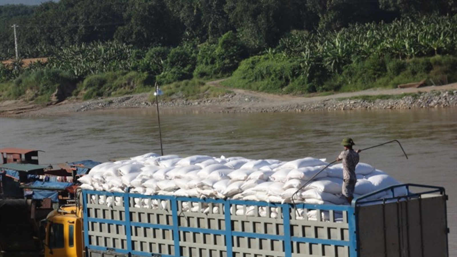 China authorises 22 Vietnamese rice exporters