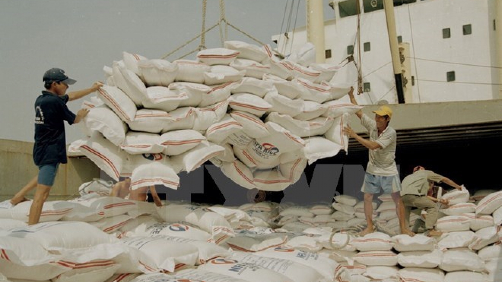 Philippine ban worries Vietnamese rice exporters