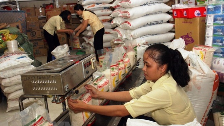 An Giang earns over US$41 million from rice exports