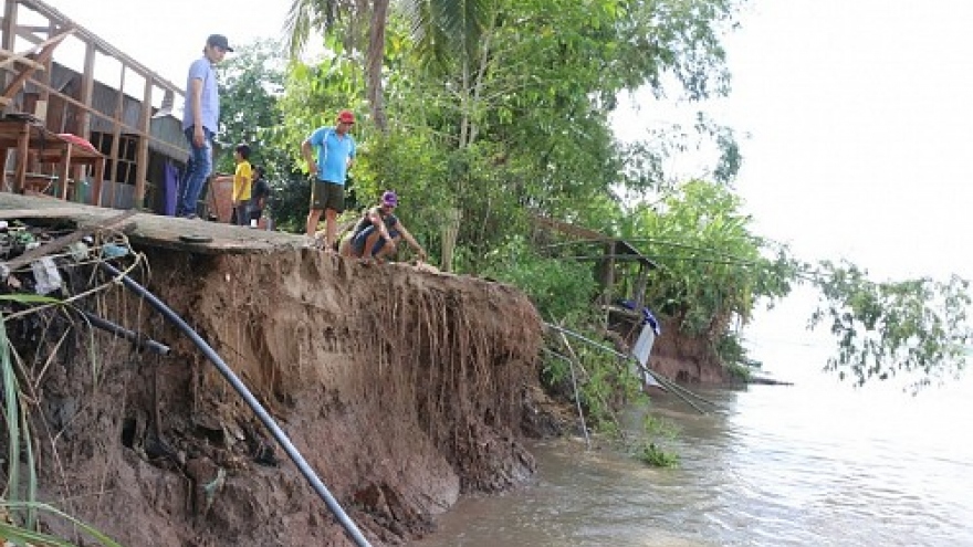 Riverbank subsidence scares Mekong Delta residents