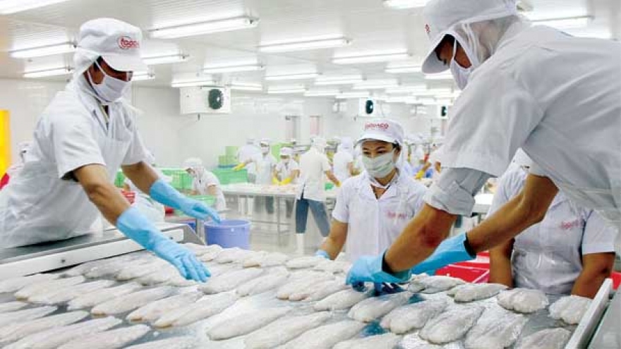 Tilapia offers untapped potential for exports