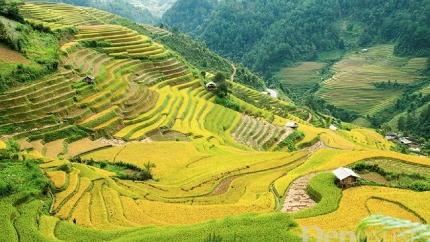 Vietnam, RoK cooperate to develop tourism