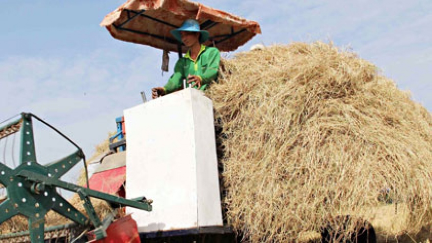 Japan to import straw for use in cow feed