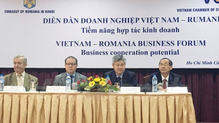Vietnamese businessmen mull investing in Romania 