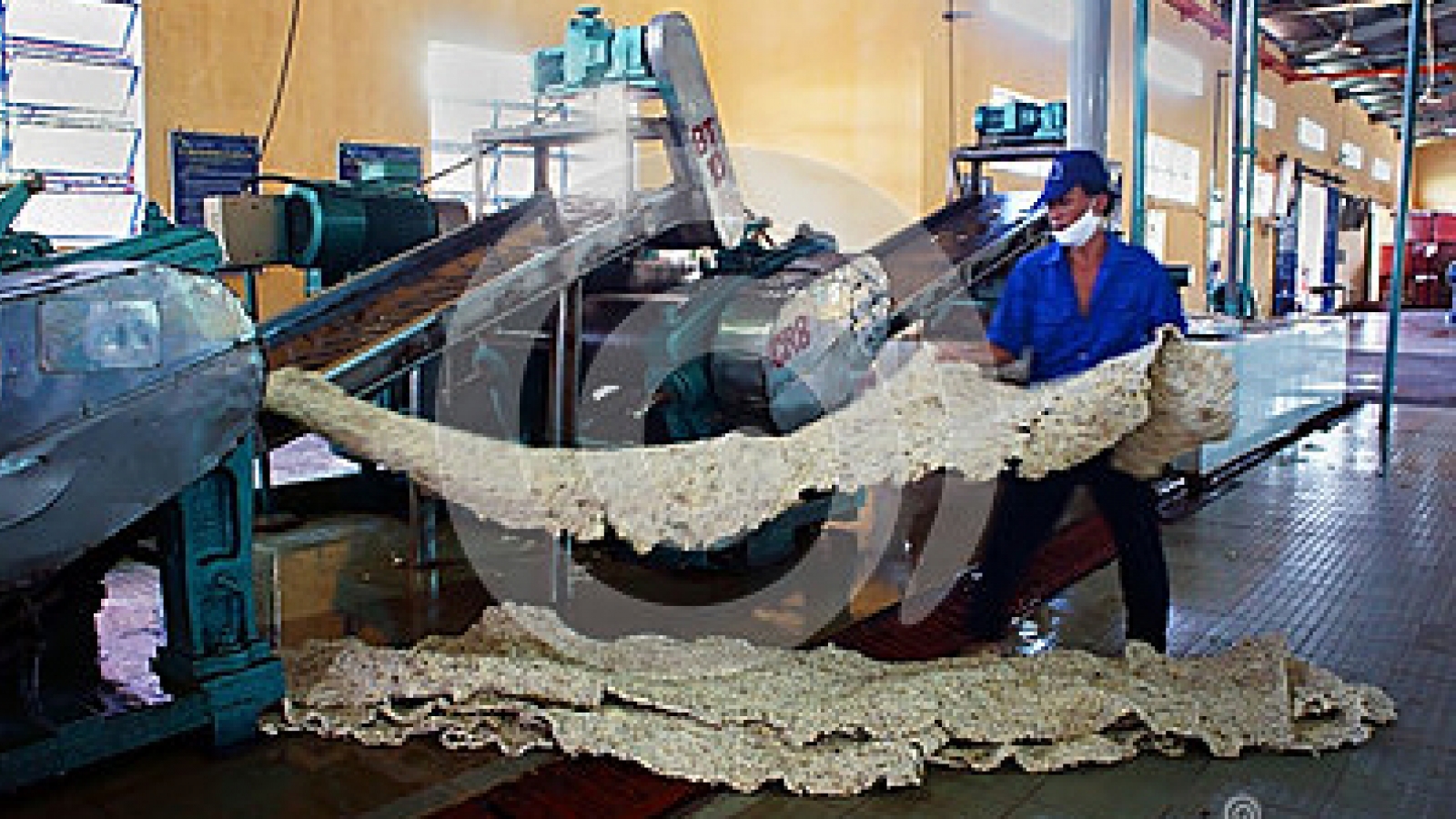 Spain to set up modern rubber plant in Binh Phuoc