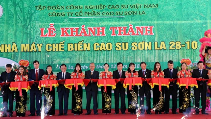Rubber latex processing plant inaugurated in Son La