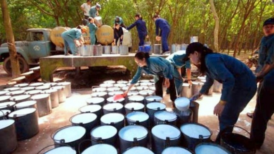 Total rubber export value stable despite decline in latex