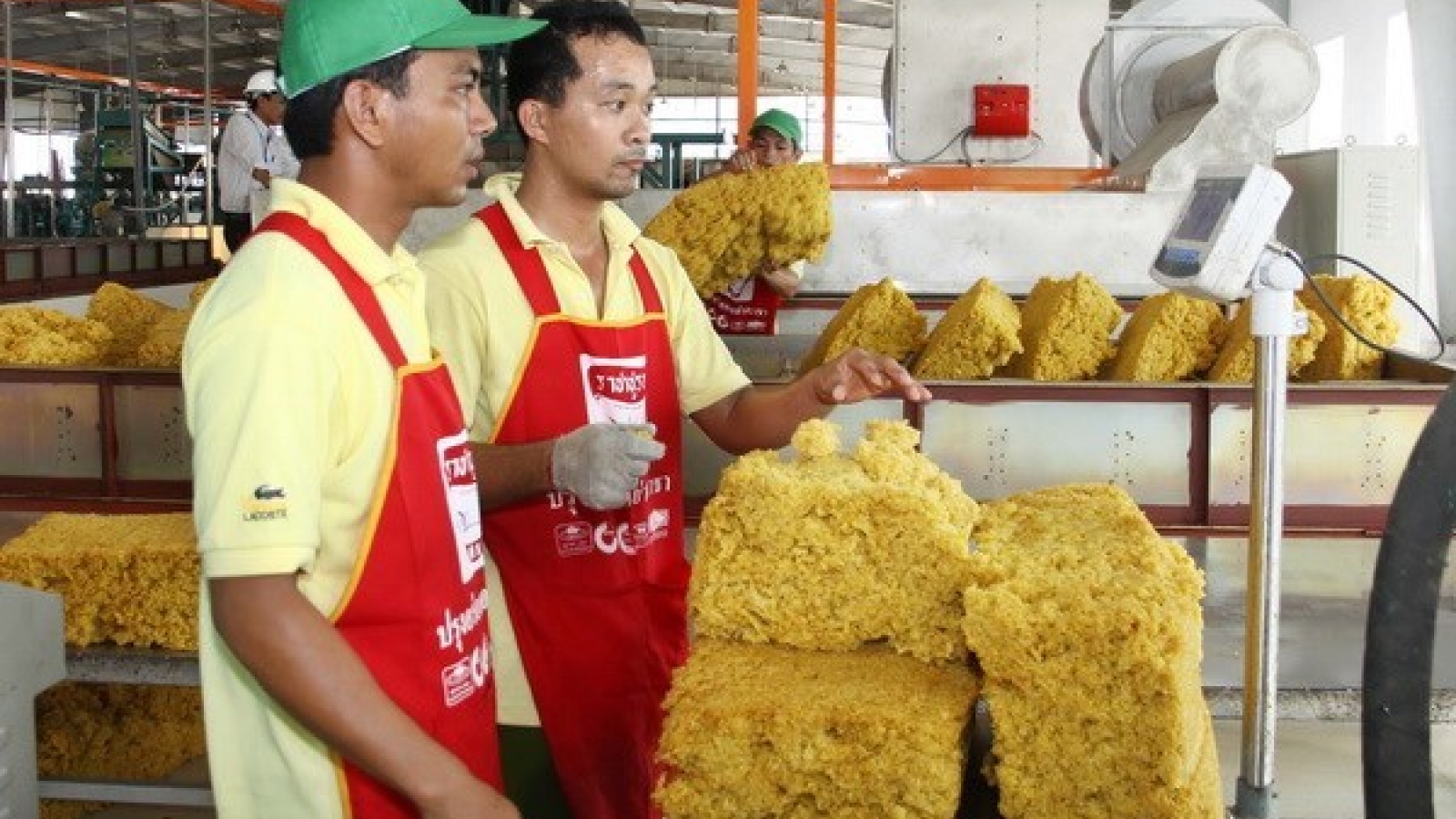 Vietnam ranks third in natural rubber production, export