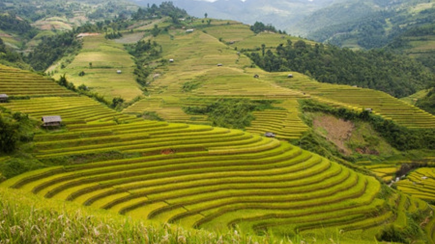 Yen Bai province, an alluring destination in the northwest