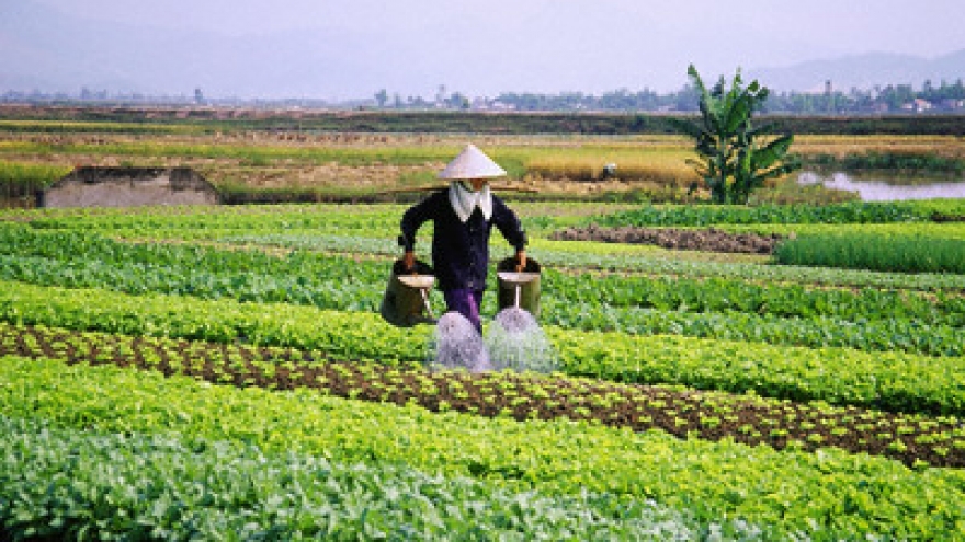 Businesses encouraged to invest in agriculture, new rural development