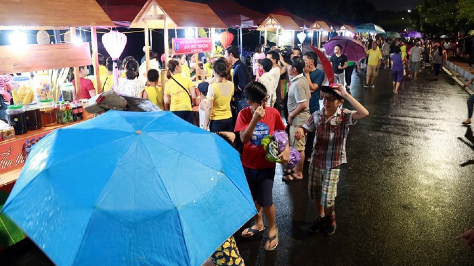 Hanoi’s Trinh Cong Son walking street opens to public