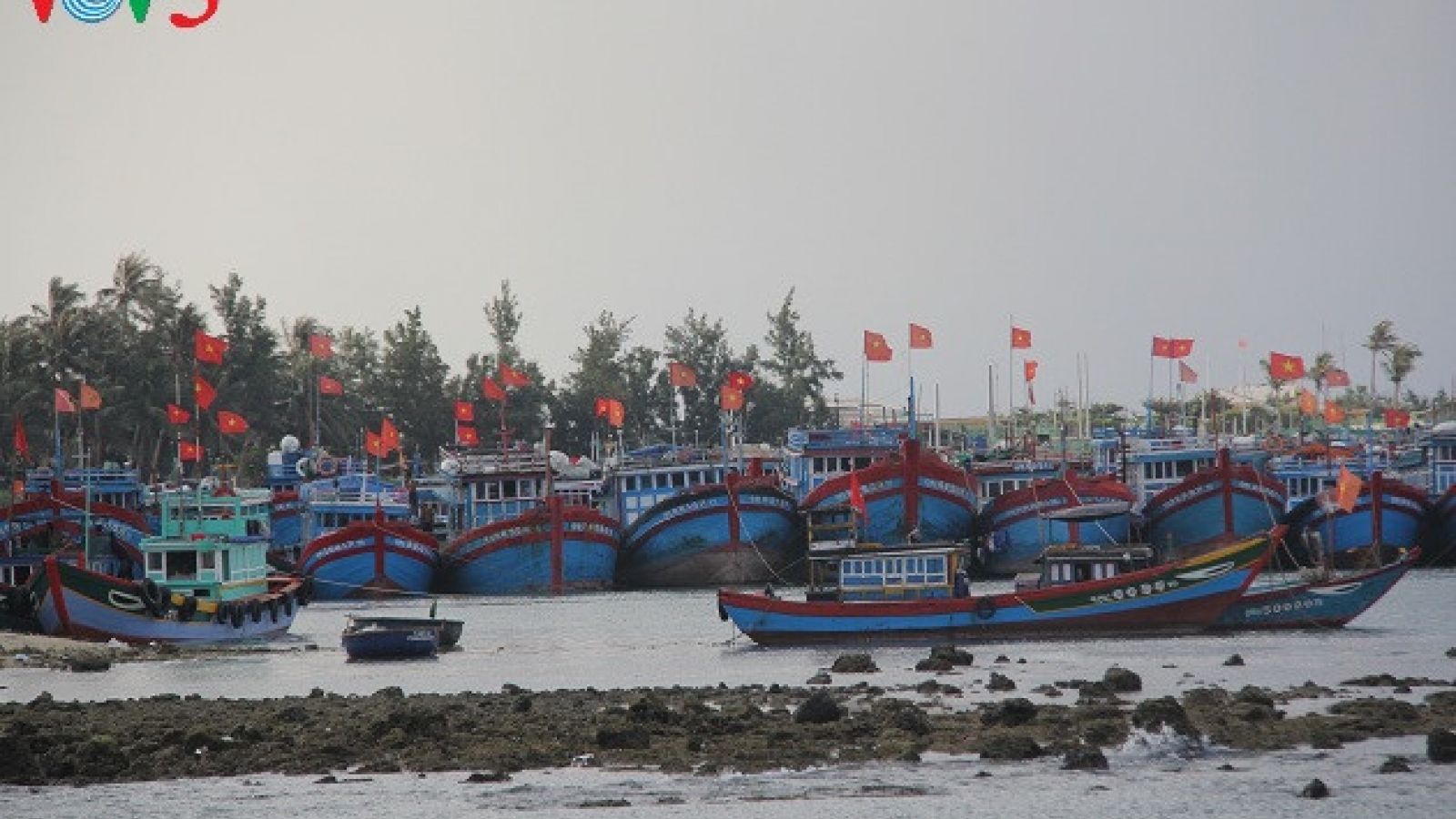 Daily life on Ly Son island