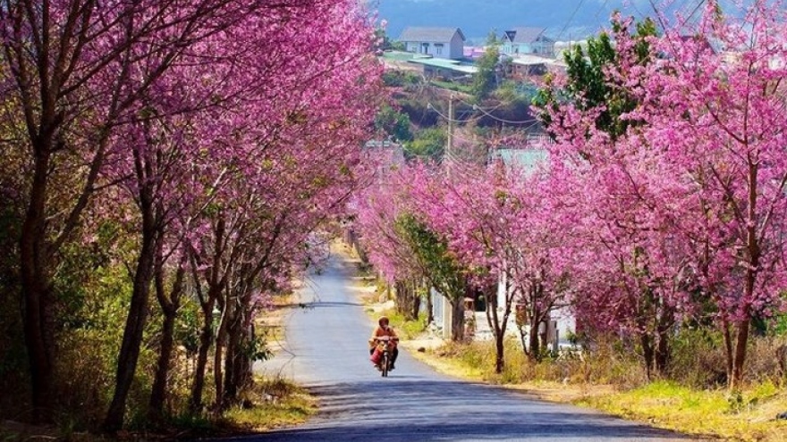 Ideal places for 2018 Lunar New Year holidays 