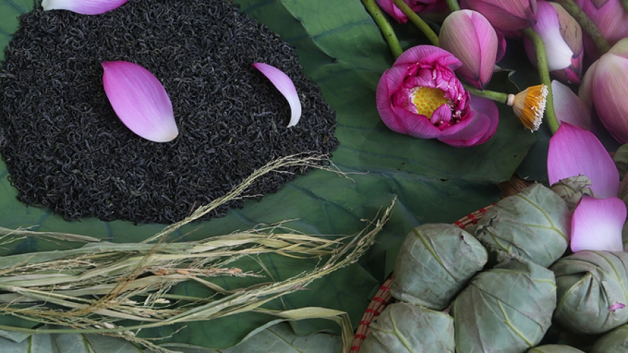 A heady fragrance brews as lotuses bloom in Hanoi