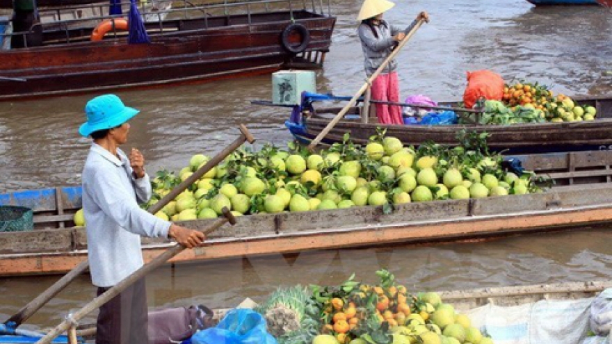 Can Tho works to develop Cai Rang floating market