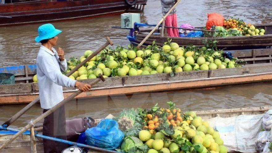 Can Tho targets 5.6 million tourists in 2017