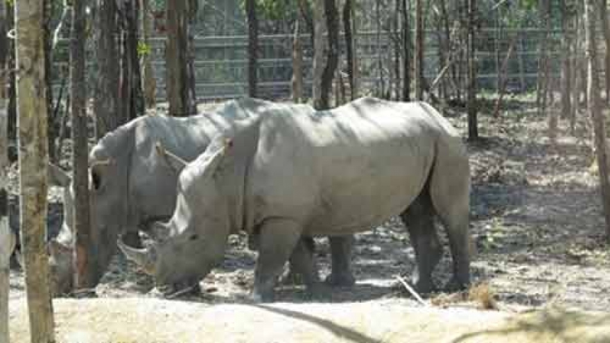 Safari park dismisses claims of endangered species deaths