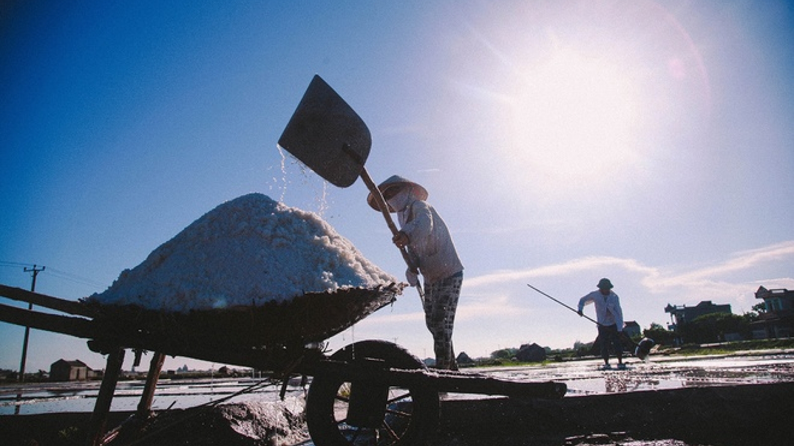 Hard-working day of salt farmers in Nam Dinh