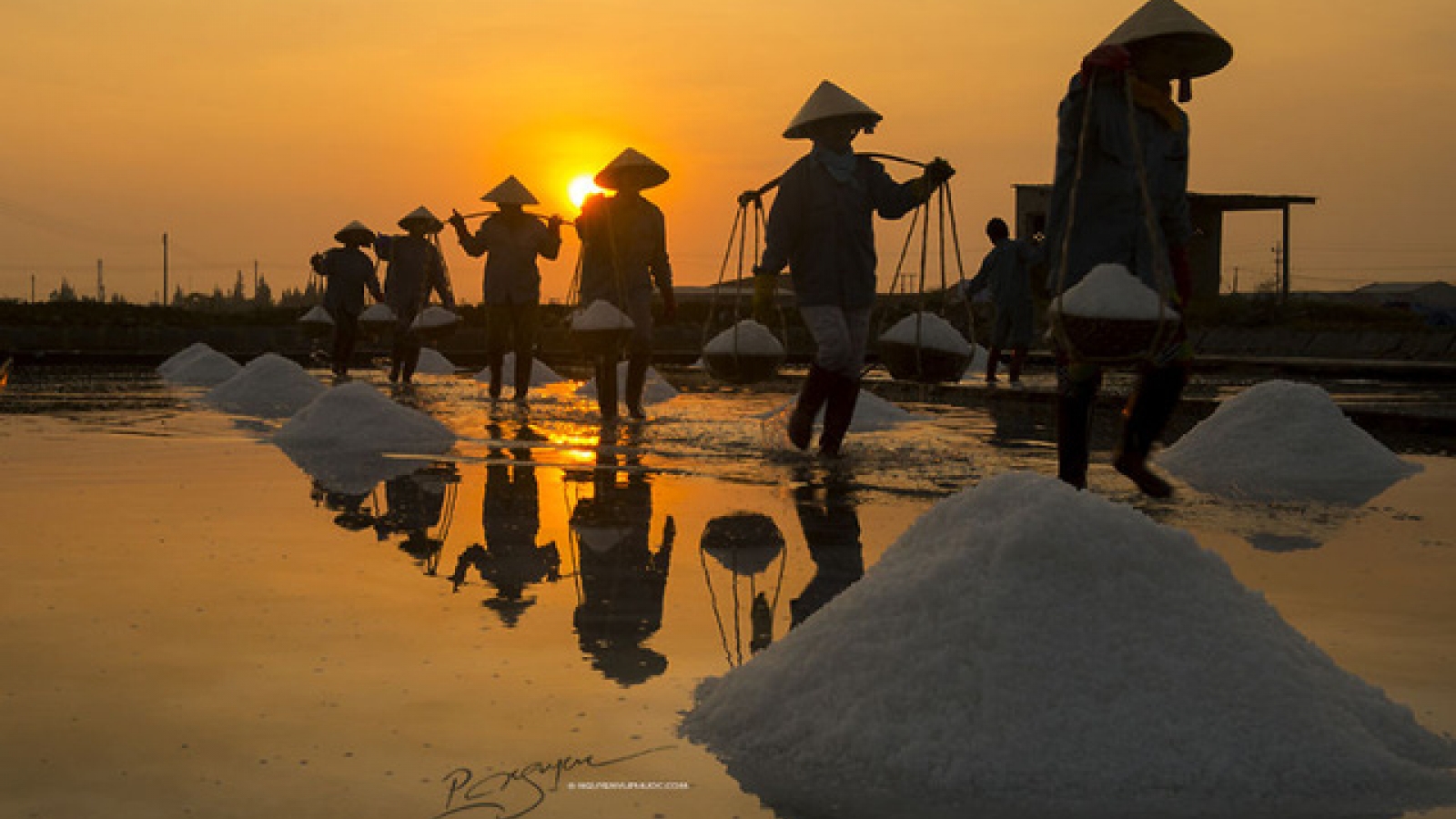Life of salt makers through Czech photographer’s lens