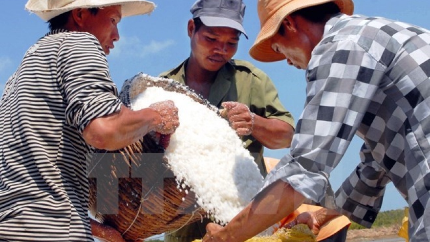 Ben Tre Province asks government to help salt farmers