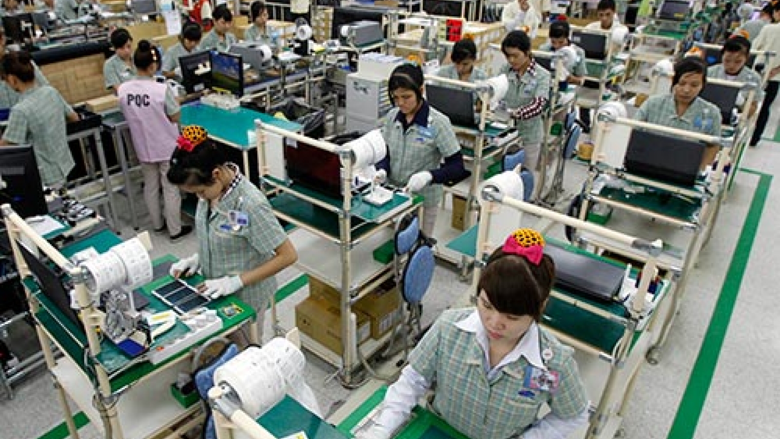 Exports to Thailand see upturn trend