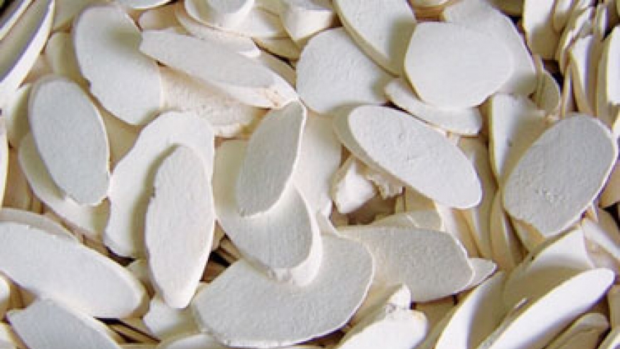 Cassava exports rebound, but still vulnerable 
