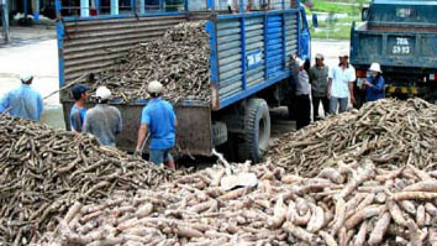 Opportunities in Argentina’s cassava trade