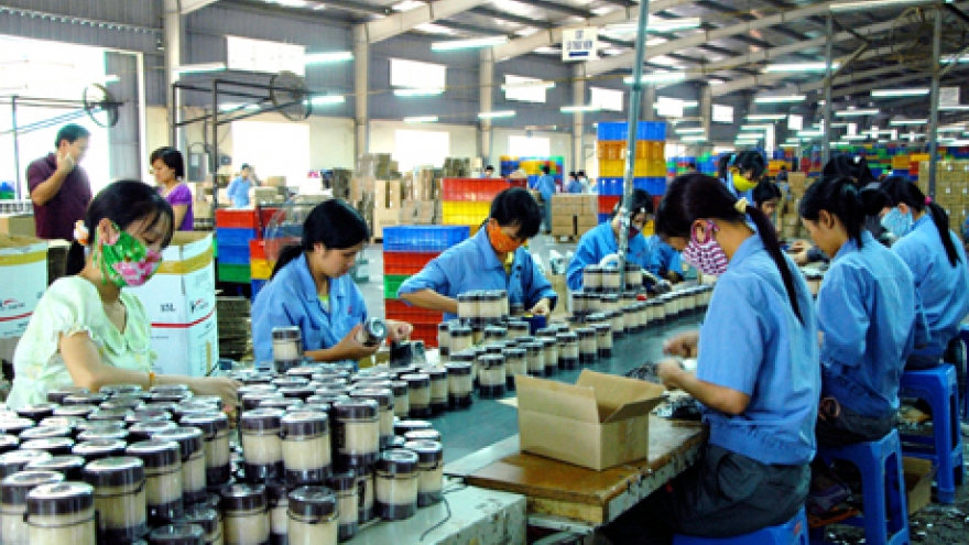 Pre-Tet demand drives industrial production index up