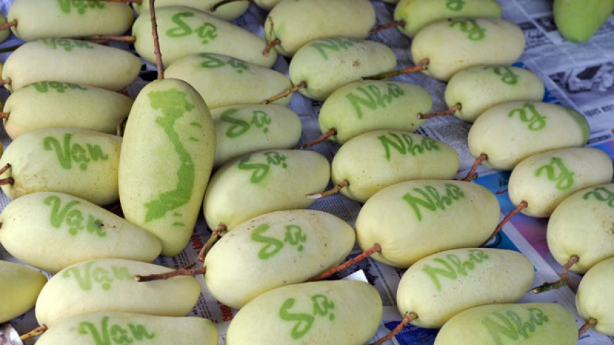 Mango carving for Tet in Vietnam’s southern province