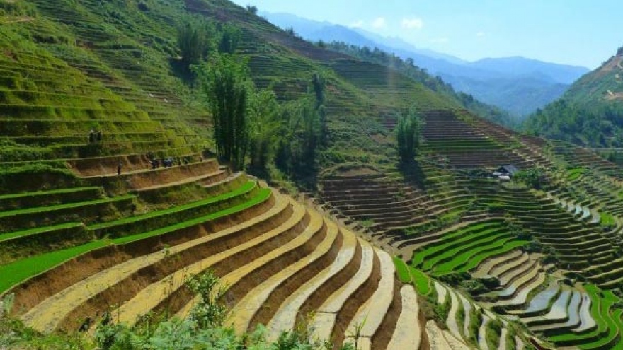 10 Reasons to Go Trekking in Sapa: TripZilla