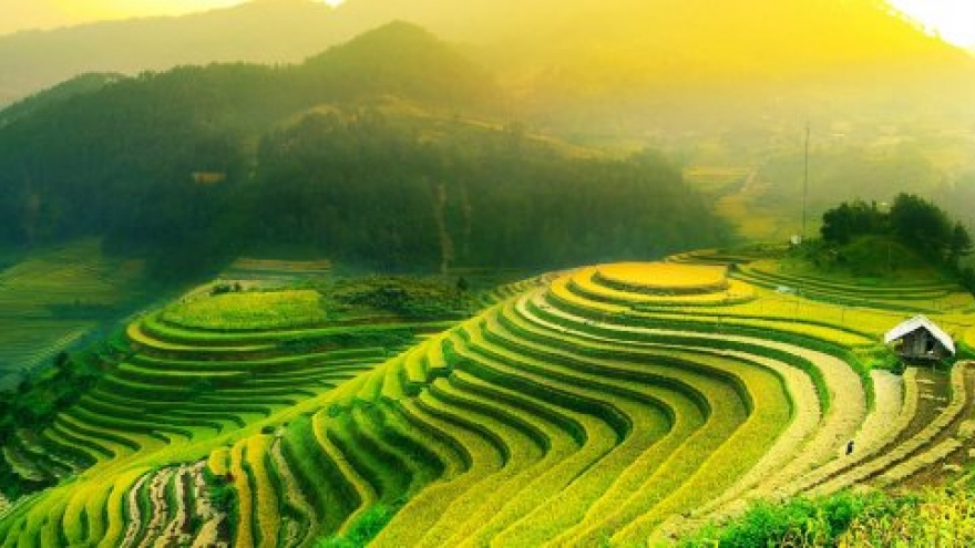 Vietnam among Rough Guide's 20 most beautiful countries