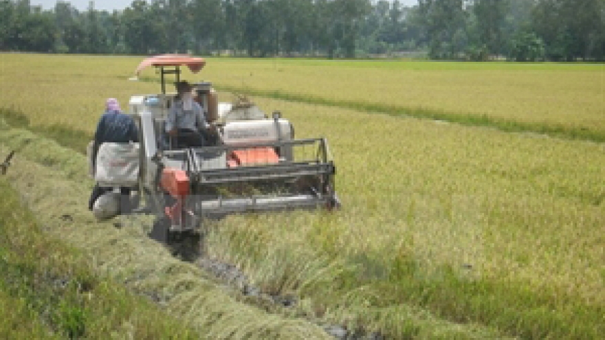 Forum talks effective agricultural production