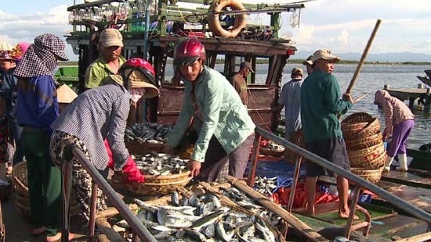 Sea pollution-affected fishermen in Thua Thien-Hue get support