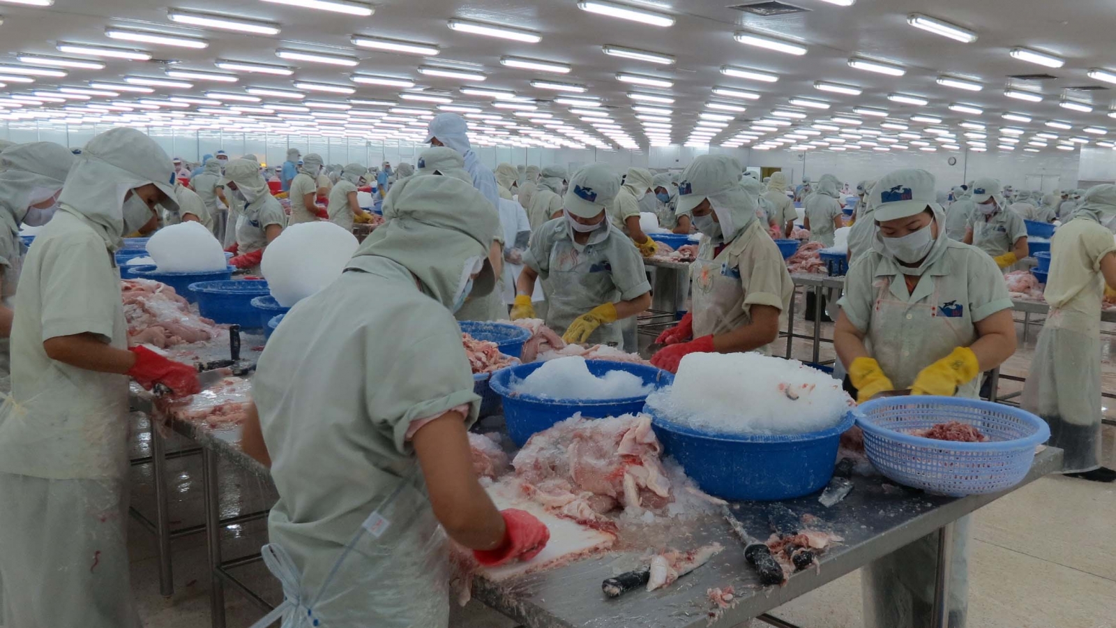 Vietnam, Indonesia boost seafood cooperation