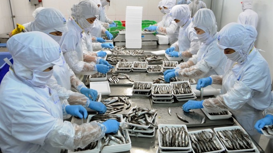 Vietnam growth deficient in quality