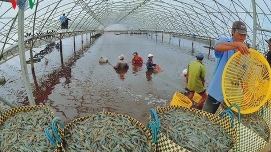 Seafood exports to China set US$1.5 billion target for 2019