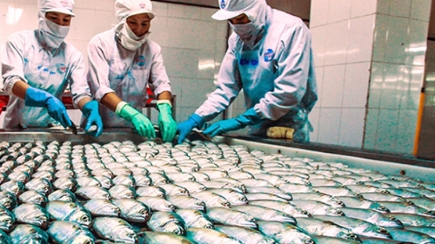 Vietnam seafood exports to benefit from TPP