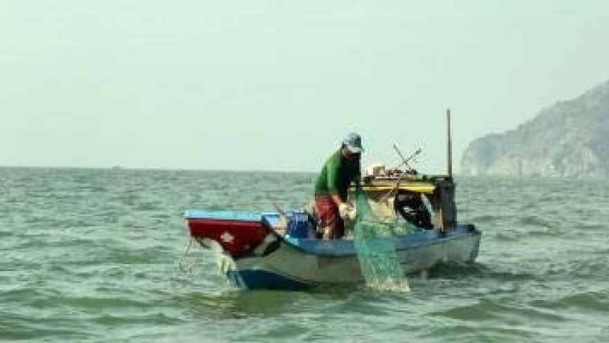Vietnam seafood mulls action on EU warning