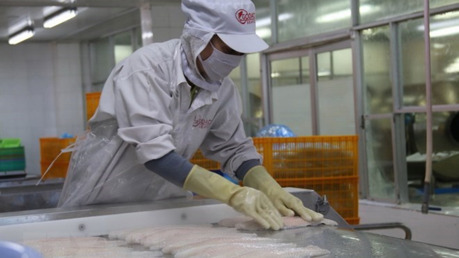 Middle East- potential market for Vietnamese seafood