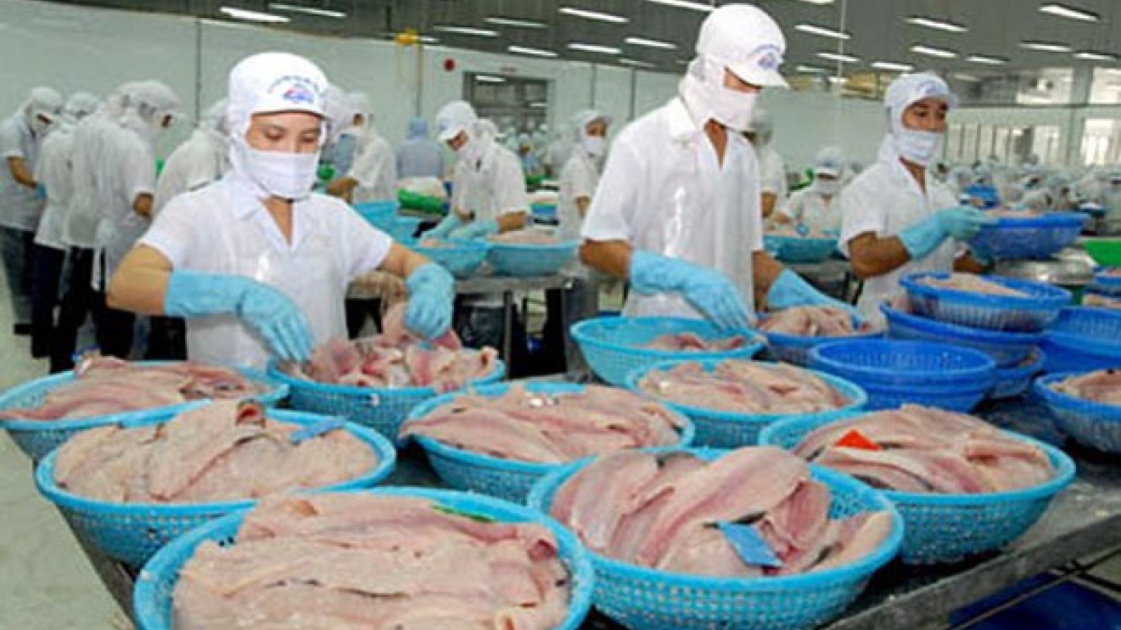 Thriving seafood exports to Middle East, Africa hold promise for fisheries