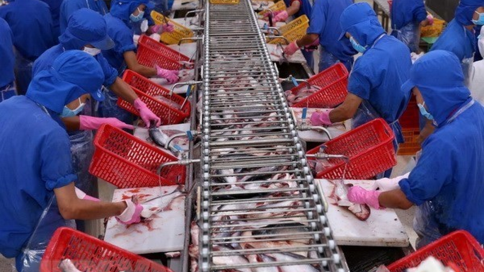 Vietnam’s seafood exports to ASEAN expected to reach US$1 billion soon