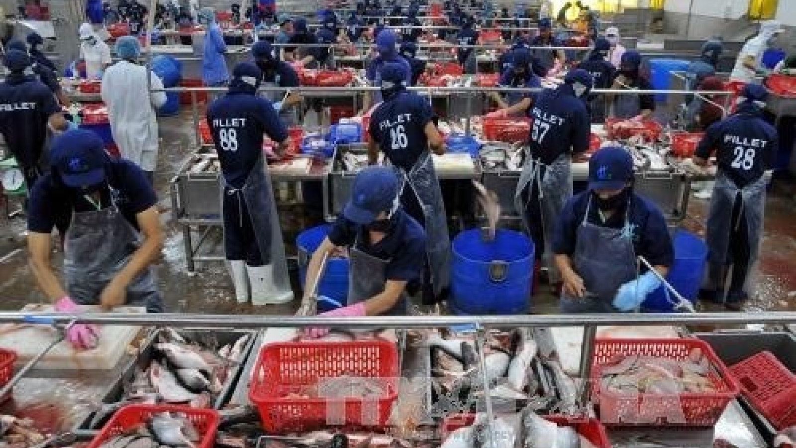 Seafood exports fetch US$4.63 billion in seven months