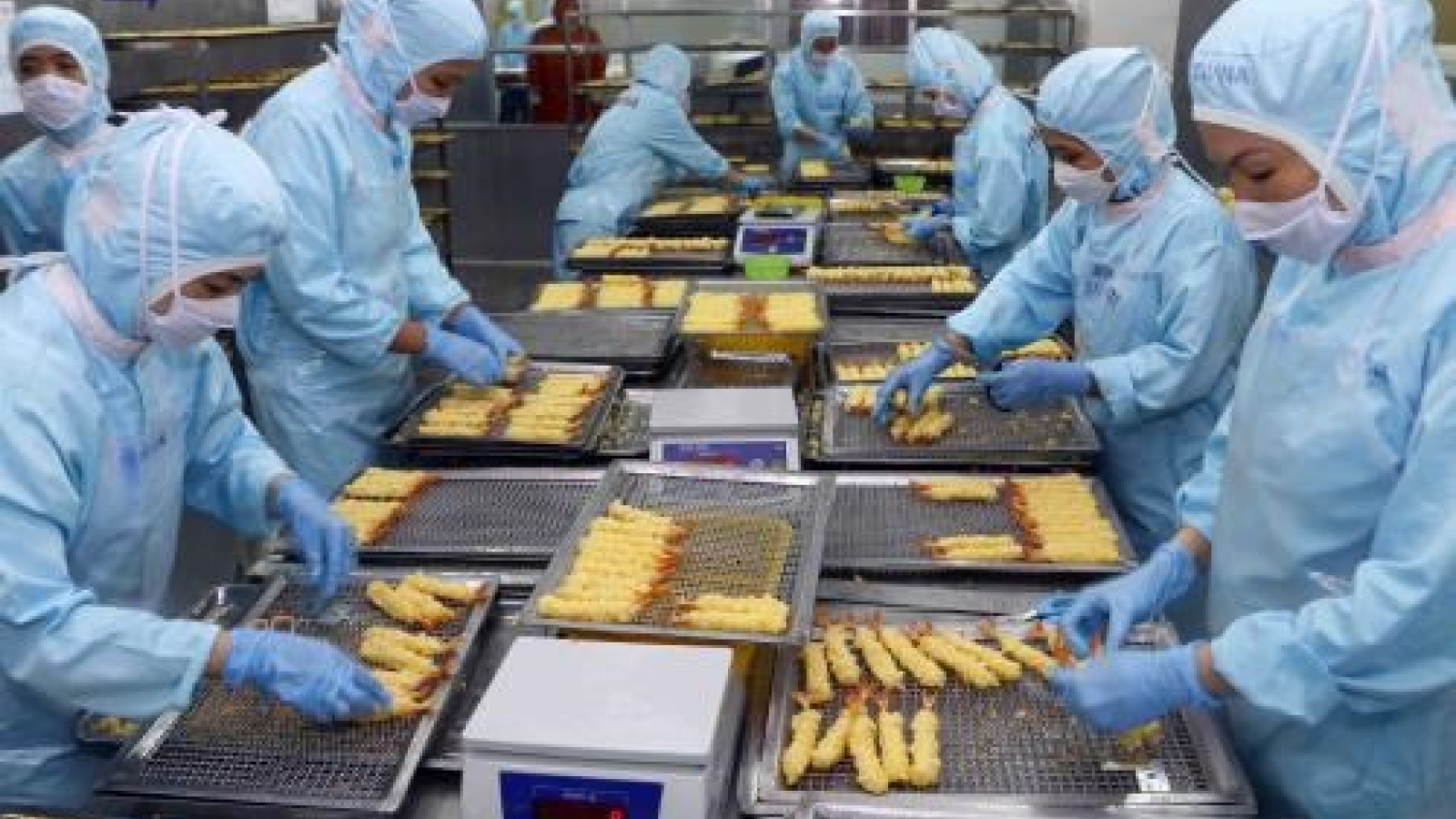 Control of seafood exports to Japan must keep strict: experts