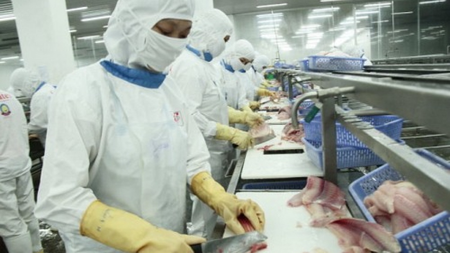 
        EU issues alert on unsafe Vietnamese seafood exports
                              