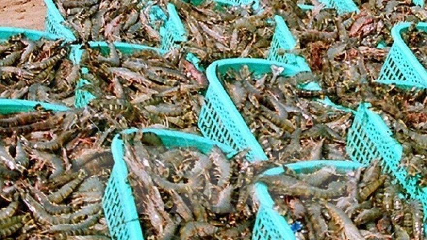 Tra Vinh: seafood exports expected to reach US$352 mln in 2018