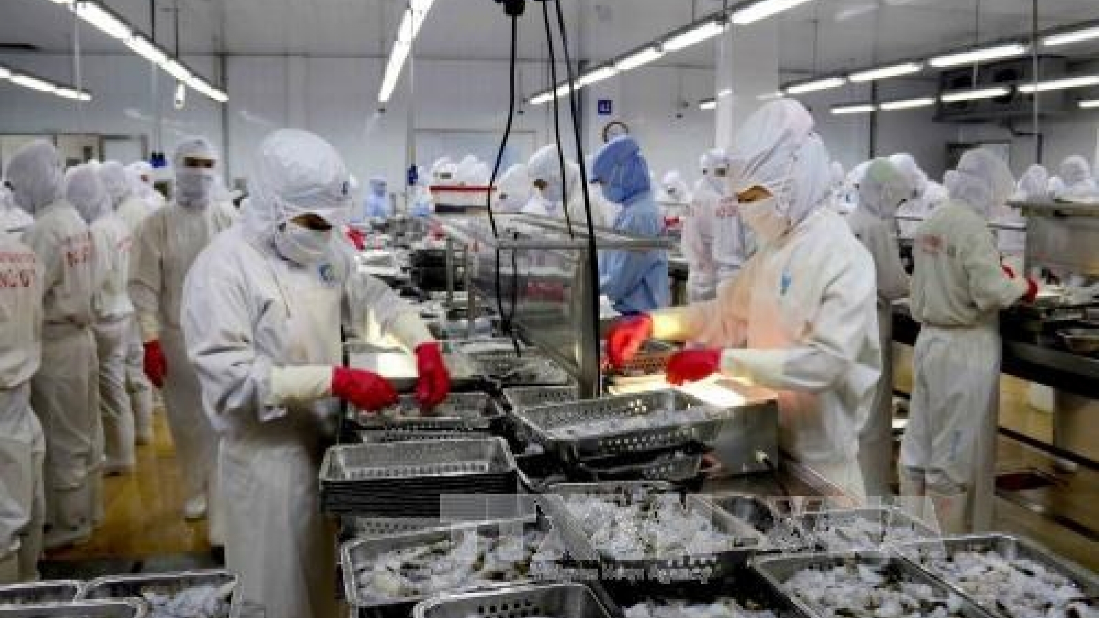 Seafood exports estimated at US$8 bln in 2017